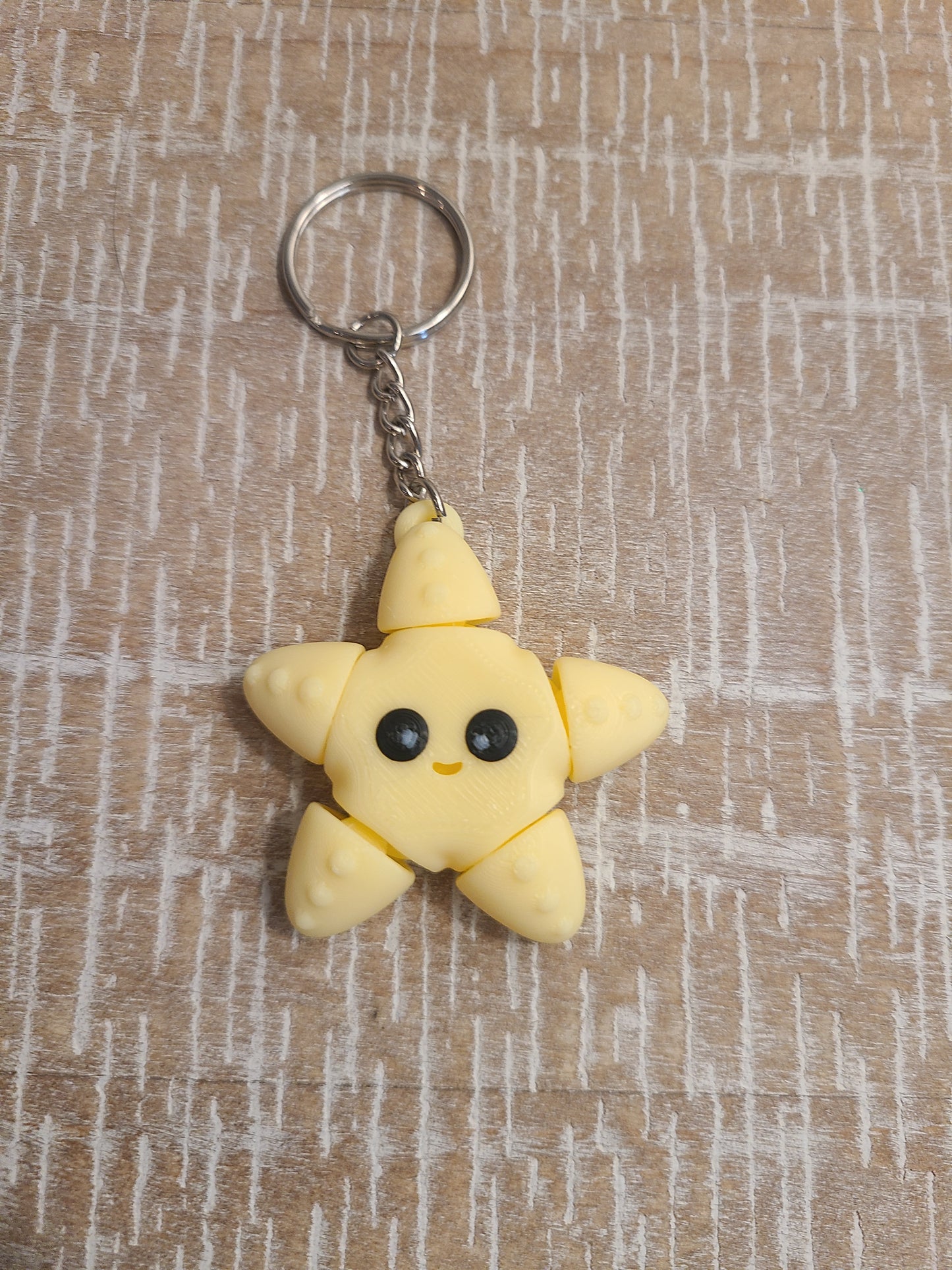 Starfish Fidget Keychain